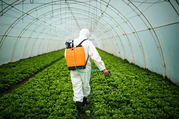 Best Commercial Pest Control Services  in Acton, CA