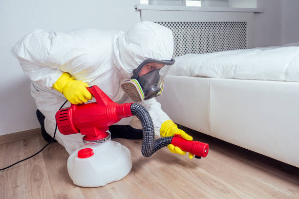Best Pest Prevention Services  in Acton, CA