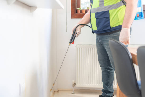 Best Pest Control Near Me in Acton, CA