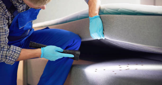 Best Best Pest Control Near Me  in Acton, CA